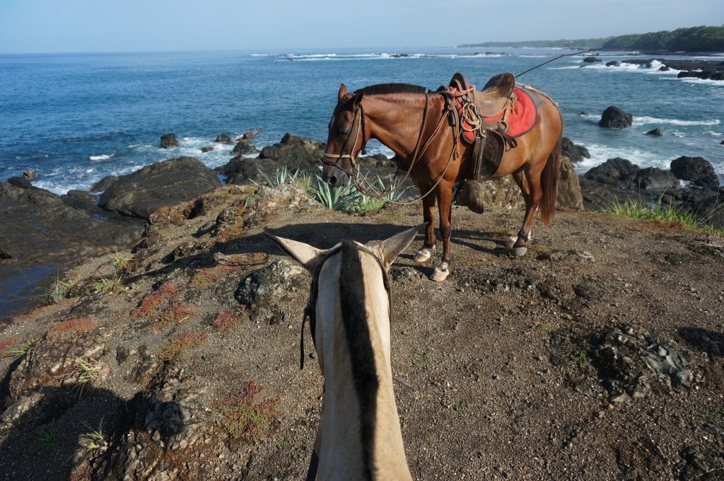 ladyhattan travel blog costa rica horse riding