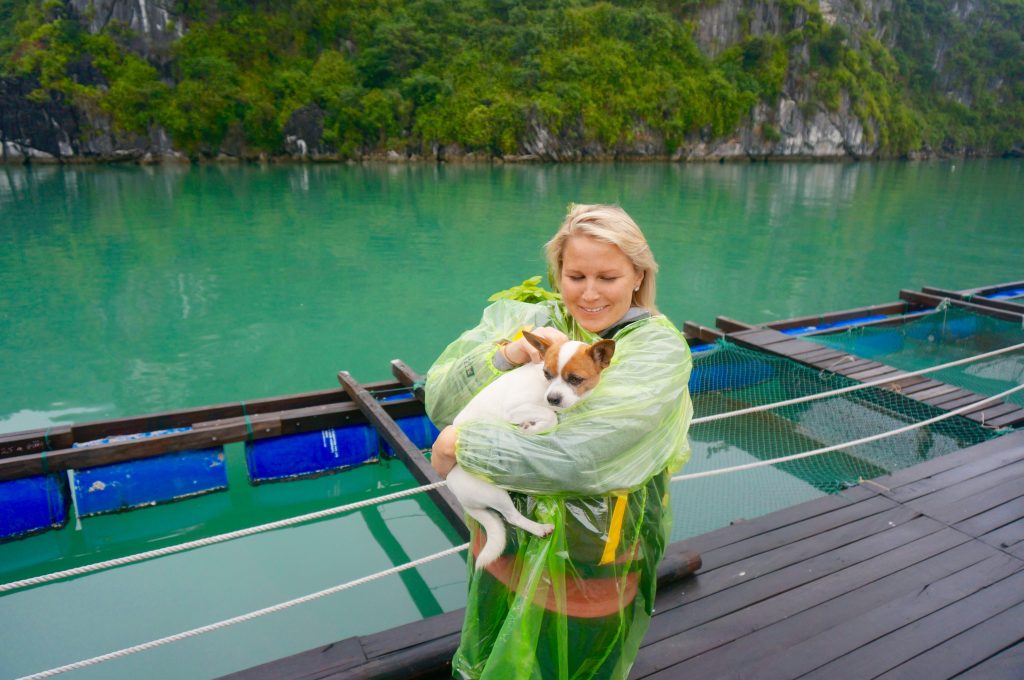 halong bay vietnam ladyhattan luxury travel blog