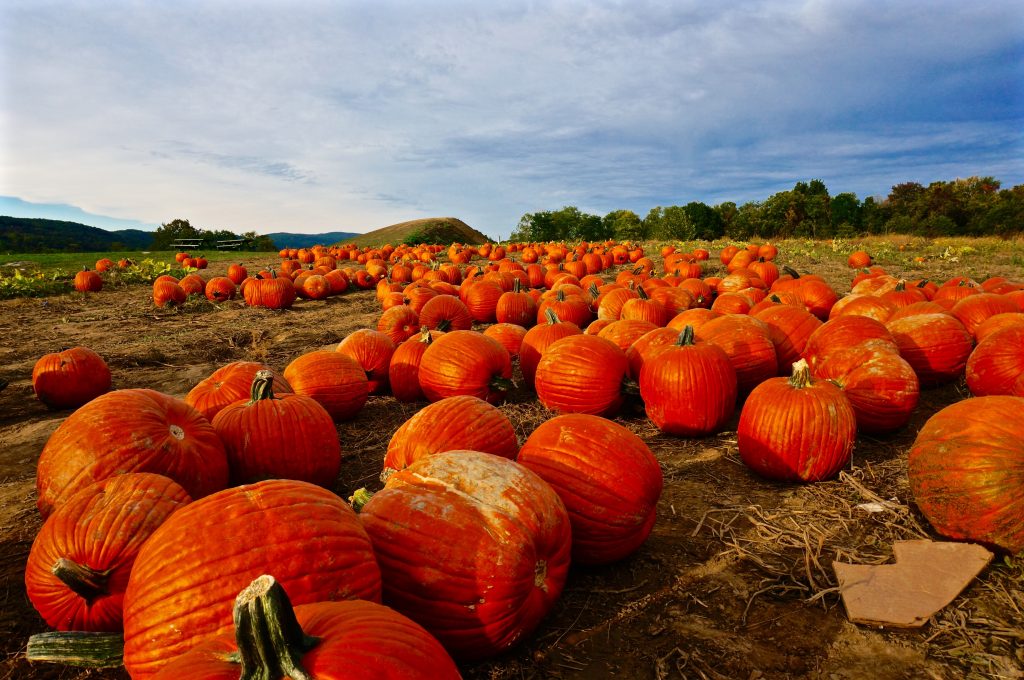 luxury travel blog hudson valley pumpkin patch near new york city fall season 