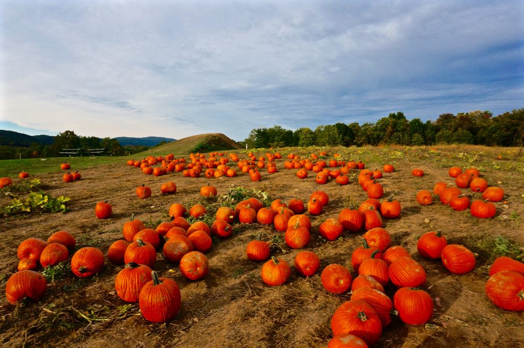 luxury travel blog hudson valley pumpkin patch near new york city fall season